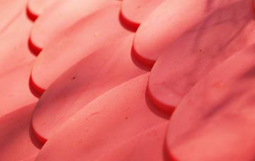 Atherington plastic roof costs